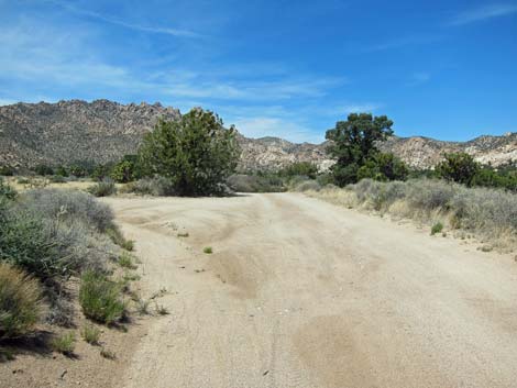 Caruthers Canyon Road