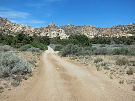 Caruthers Canyon Road