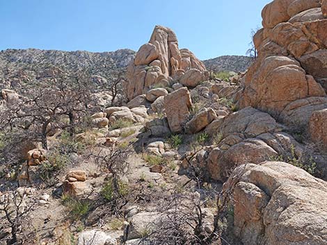 Caruthers Canyon Road