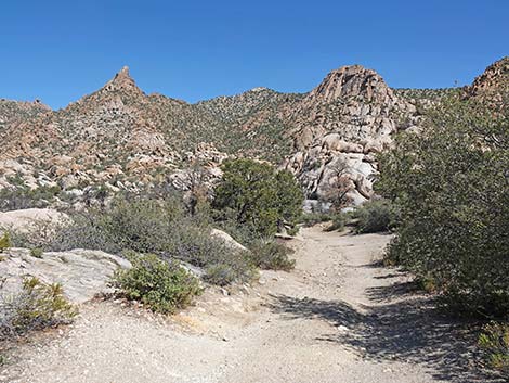 Caruthers Canyon Road