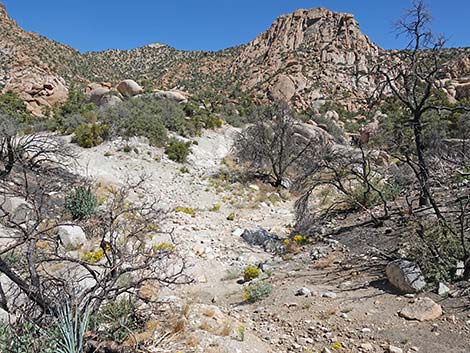 Caruthers Canyon Road