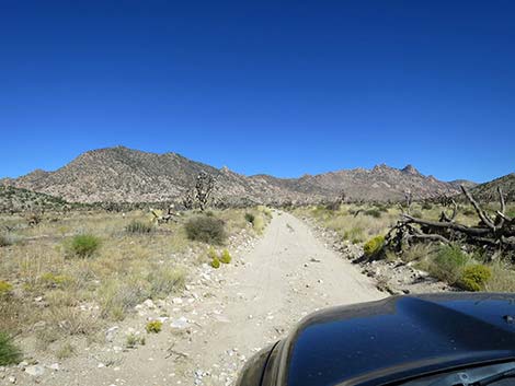 Caruthers Canyon Road