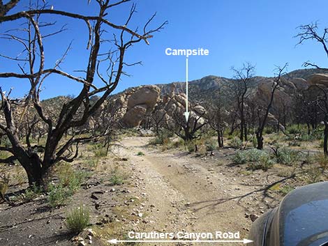 Caruthers Canyon Road