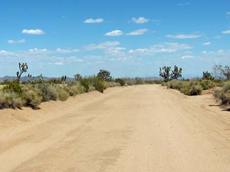 Cedar Canyon Road