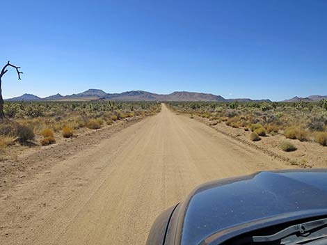 Cedar Canyon Road