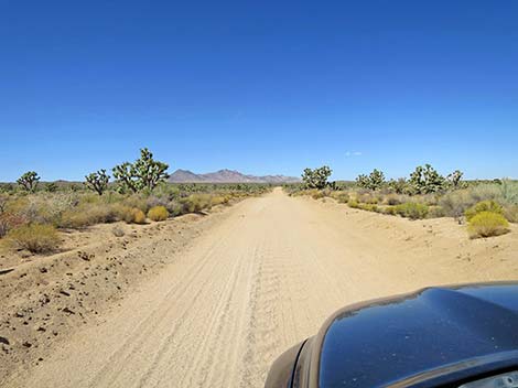 Cedar Canyon Road