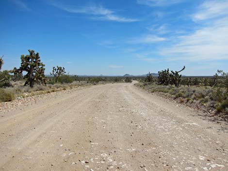 Ivanpah Road