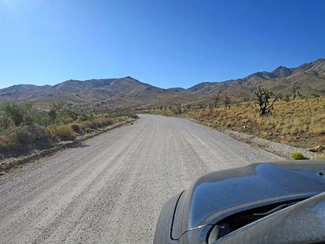 Ivanpah Road