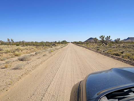 Ivanpah Road