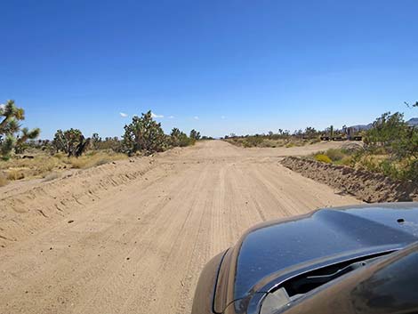 Ivanpah Road