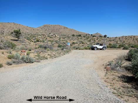 Wild Horse Road