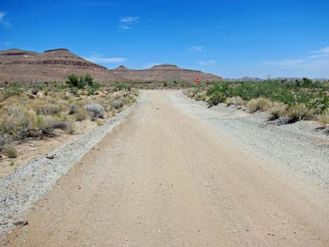 Wild Horse Road