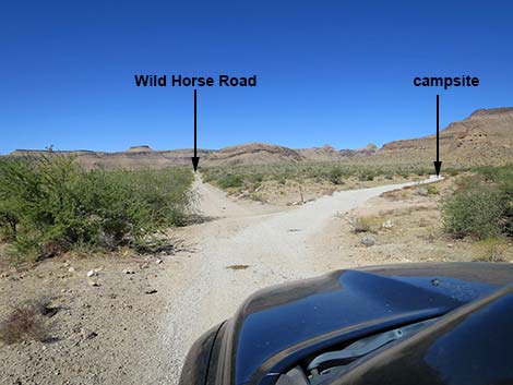 Wild Horse Road