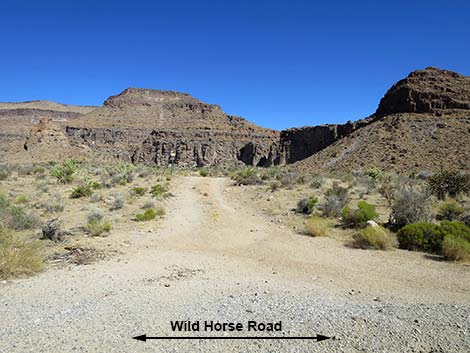 Wild Horse Road