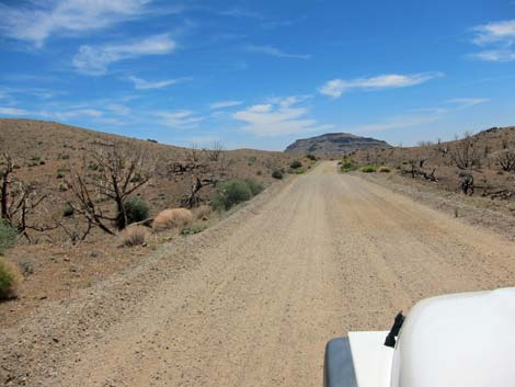 Wild Horse Road