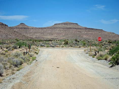 Wild Horse Road