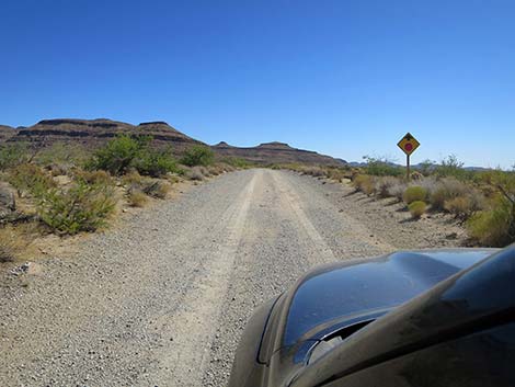 Wild Horse Road