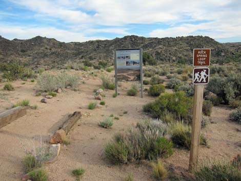 Rock Spring Loop Trail