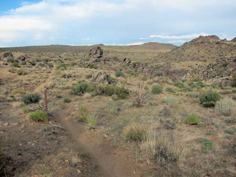 Rock Spring Loop Trail