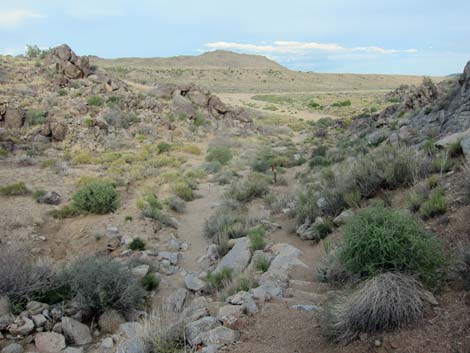 Rock Spring Loop Trail