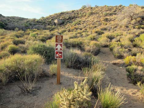 Rock Spring Loop Trail