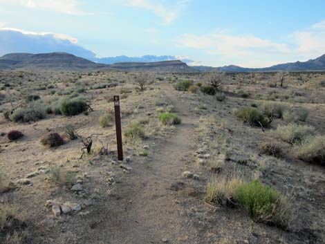 Rock Spring Loop Trail