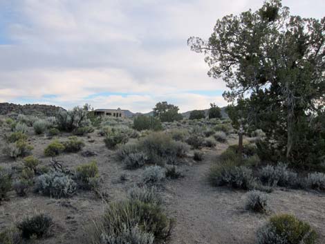 Rock Spring Loop Trail