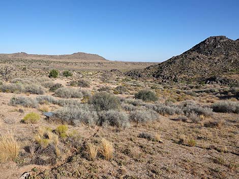 Rock Spring Loop Trail