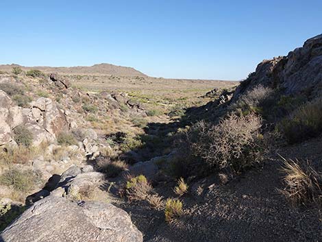 Rock Spring Loop Trail