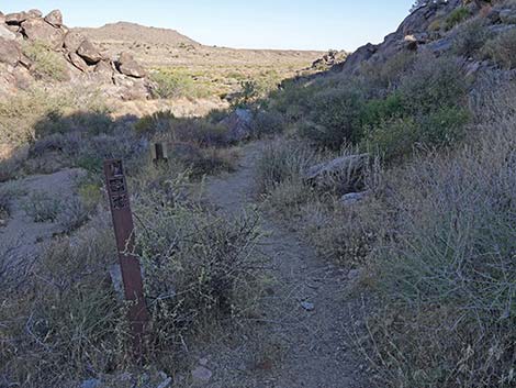 Rock Spring Loop Trail