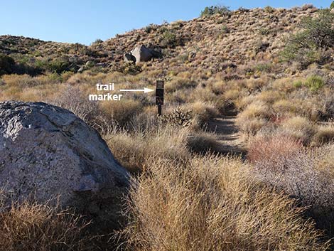 Rock Spring Loop Trail