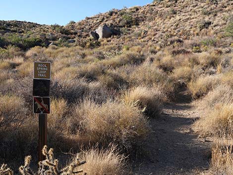 Rock Spring Loop Trail