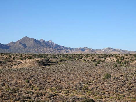 Rock Spring Loop Trail