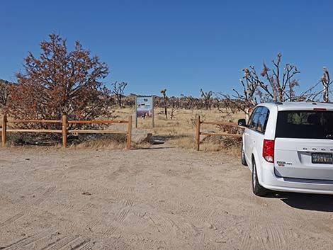 Teutonia Peak Trail