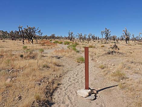 Teutonia Peak Trail