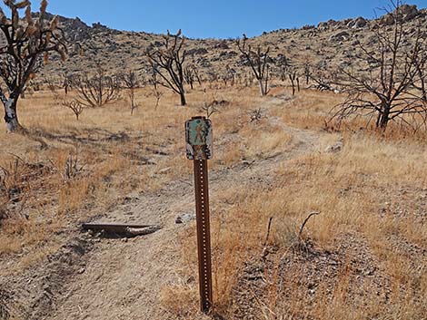 Teutonia Peak Trail