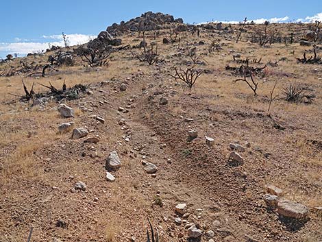 Teutonia Peak Trail