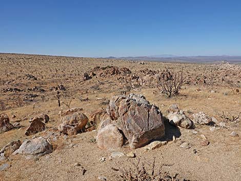 Teutonia Peak Trail