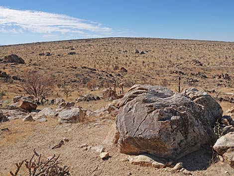 Teutonia Peak Trail