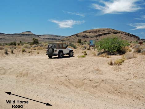 Wild Horse Spur Trail