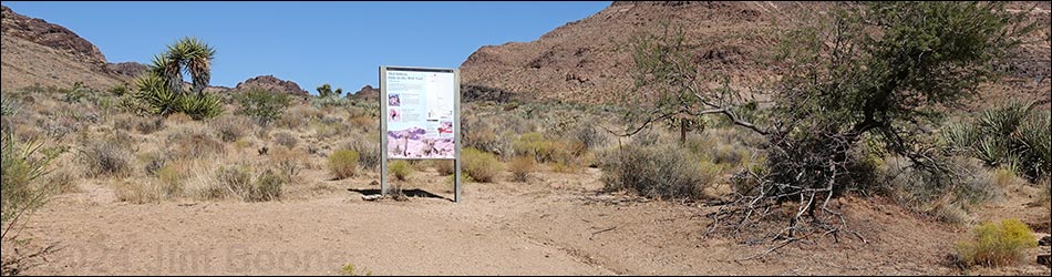 Wild Horse Spur Trail