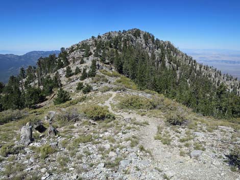 Bonanza Trail