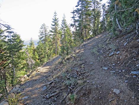 Bonanza Peak Trail