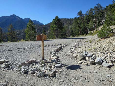 Bonanza Trail