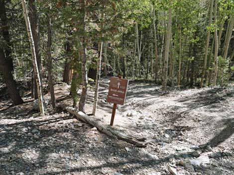 Bristlecone Trail