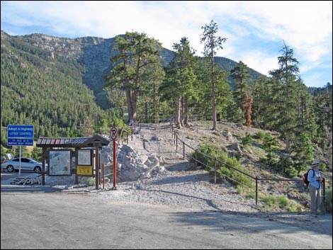 Bristlecone Trail Upper Trailhead