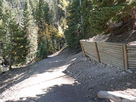 Cathedral Rock Trail