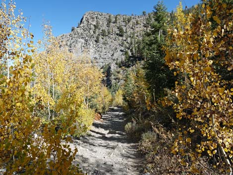 Cathedral Rock Trail