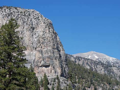 Cathedral Rock Trail