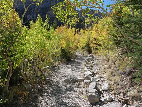 Cathedral Rock Trail